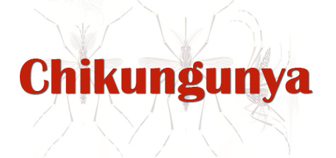 Chikungunya Resources